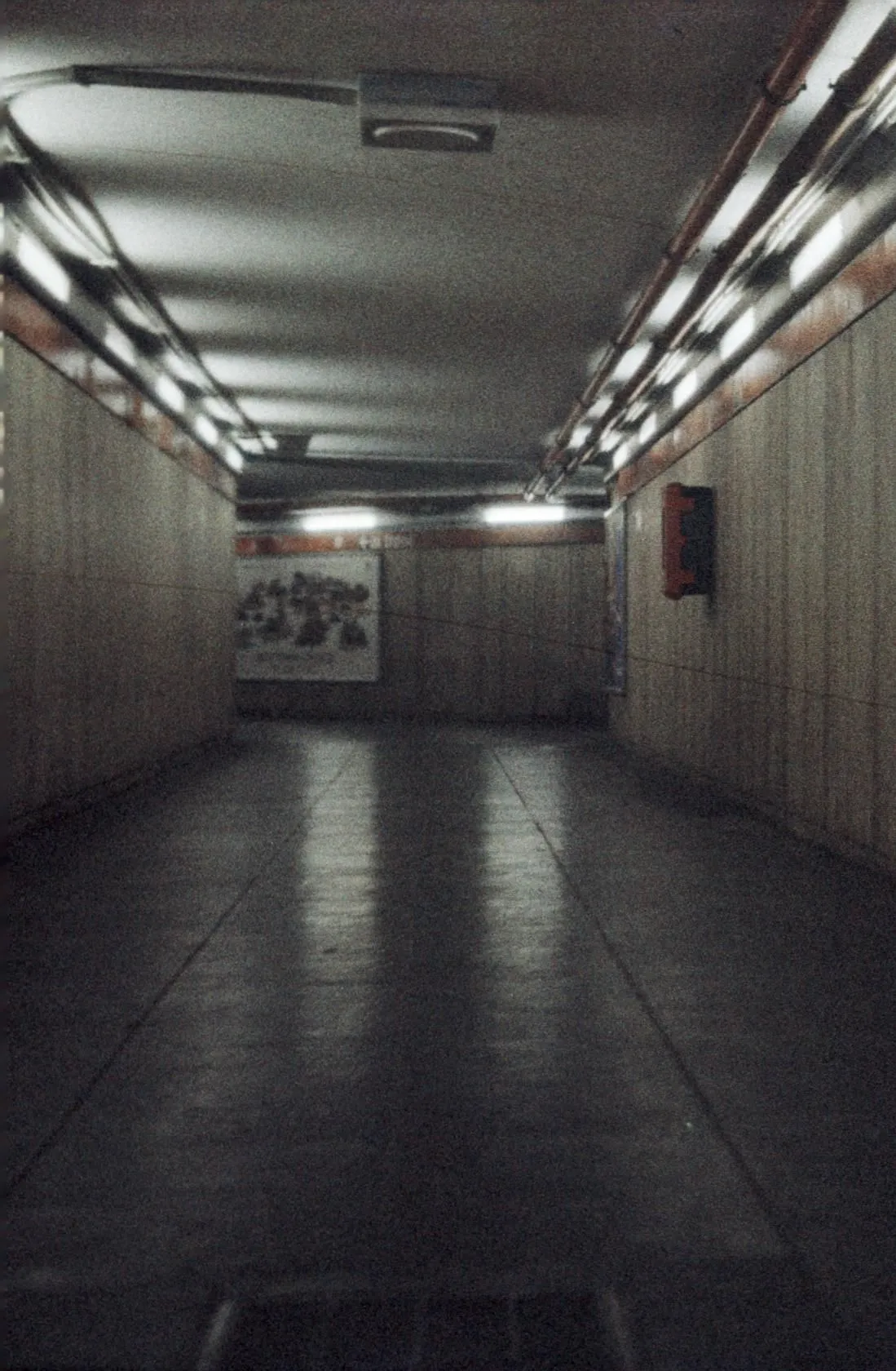 Stereo pair, left eye