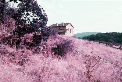 Thumbnail for Quintanar, Spain - 1