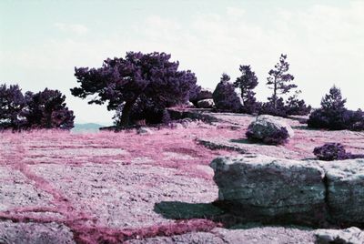 Thumbnail for Quintanar, Spain - 3